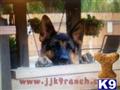classified ad
